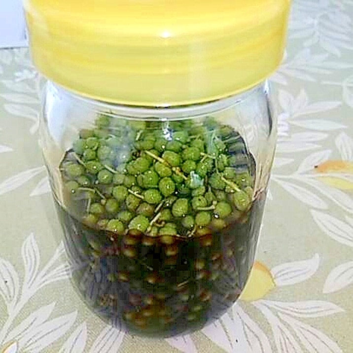 あく抜き不要 実山椒醤油と活用法 レシピ 作り方 By O 楽天レシピ あく抜き不要 実山椒醤油と活用法 レシピ 作り方 By O 楽天レシピ